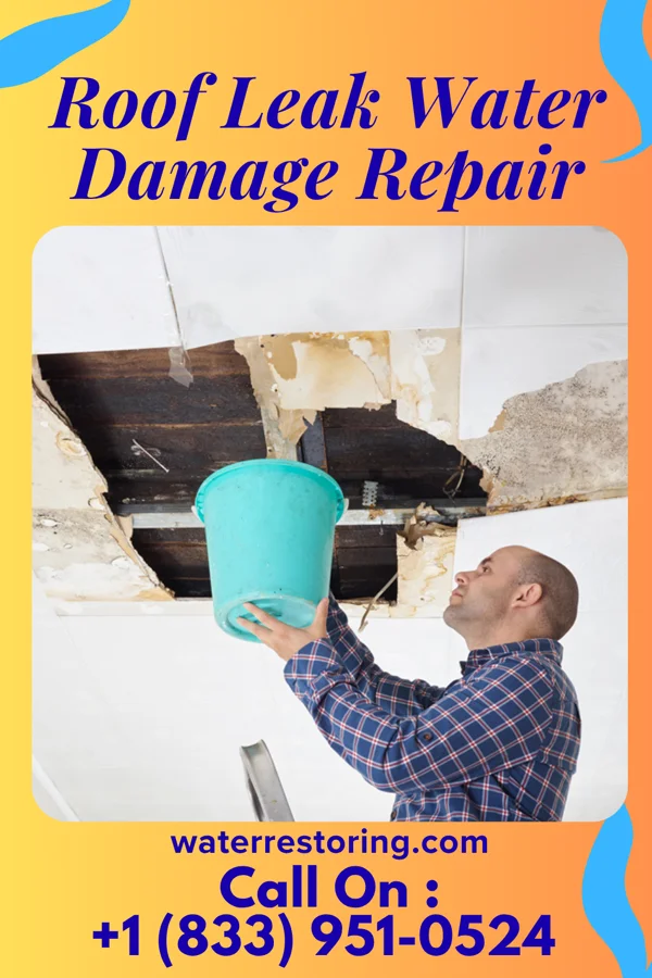 Roof Leak Water Damage Repair in Hickox, GA